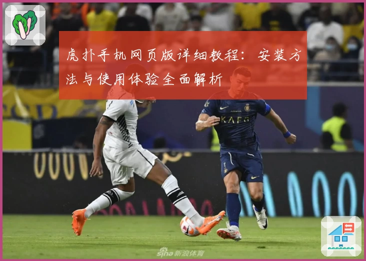 虎扑手机网页版详细教程：安装方法与使用体验全面解析