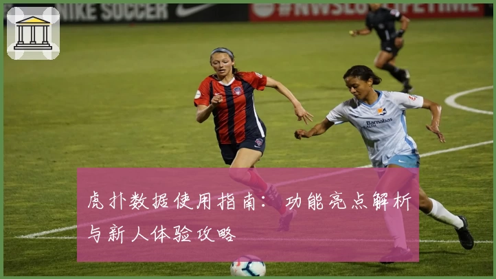 虎扑数据使用指南：功能亮点解析与新人体验攻略