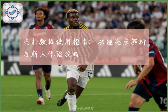 虎扑数据使用指南：功能亮点解析与新人体验攻略